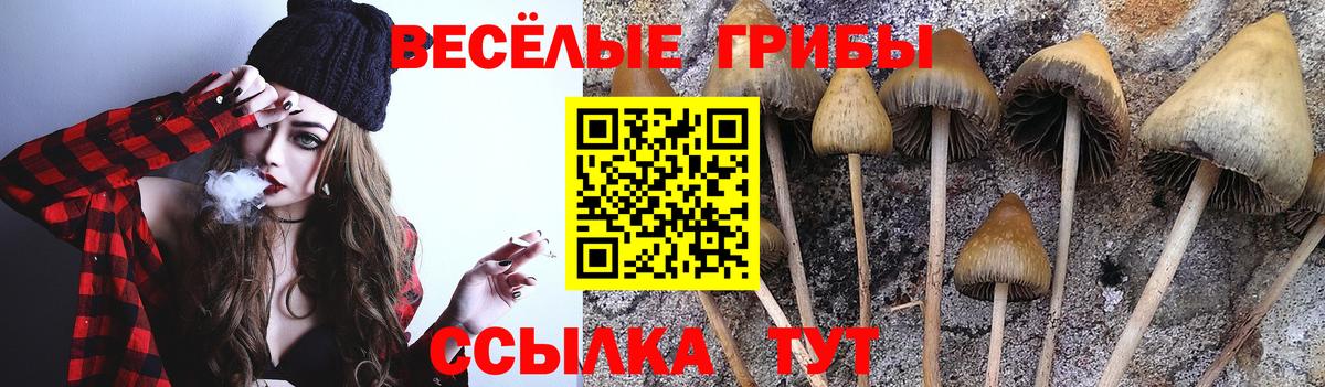 Псилоцибиновые грибы ЛСД  Вход с VPN  Дубна 