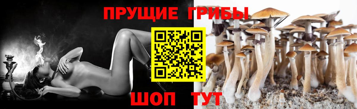 Галлюциногенные грибы Cubensis Дубна